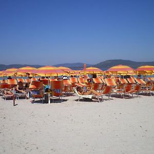 Actinia Accommodation